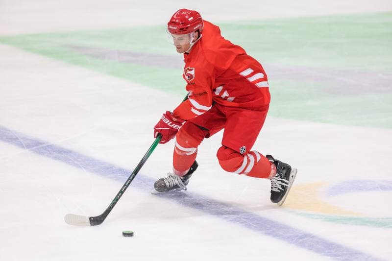 Ice Hockey. Poland national team. Training. 10.12.2023