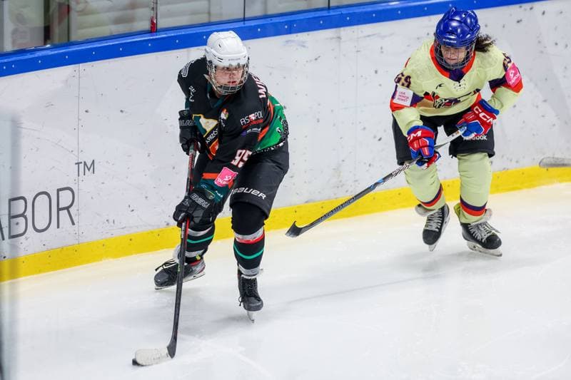 Ice Hockey. Tauron Liga Kobiet. Wiedzmy 71 Wroclaw - Kojotki Naprzod Janow. 03.12.2023