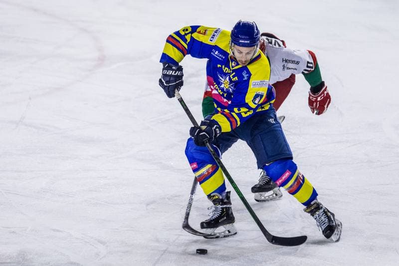 Ice Hockey. PHL. Zaglebie Sosnowiec - Tauron Podhale Nowy Targ. 22.01.2021