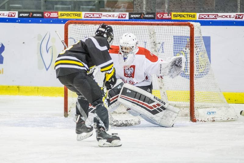 Ice Hockey. EWHL. Polska - DEC Salzburg Eagles. 07.02.2021