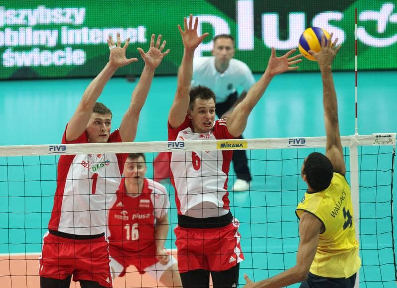 Volleyball. World League. Poland - Brazil. 03.06.2012