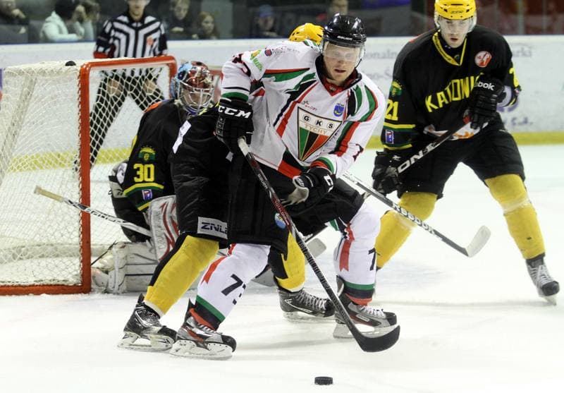 Ice Hockey. Polska Hokej Liga. GKS Tychy - HC GKS Katowice. 18.02.2014