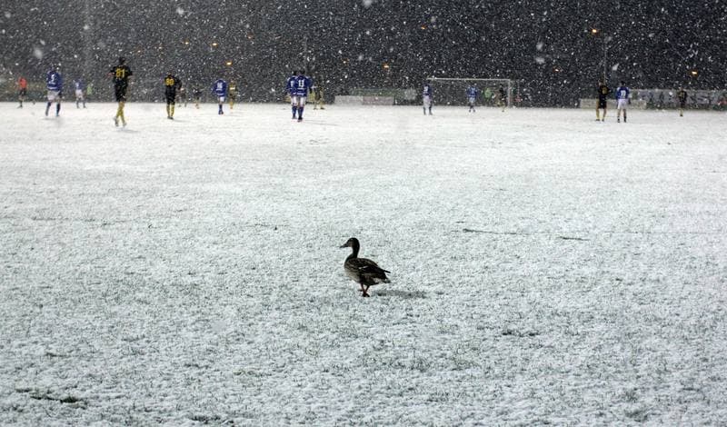 Football. I liga. GKS Katowice - Dolcan Zabki. 31.03.2012