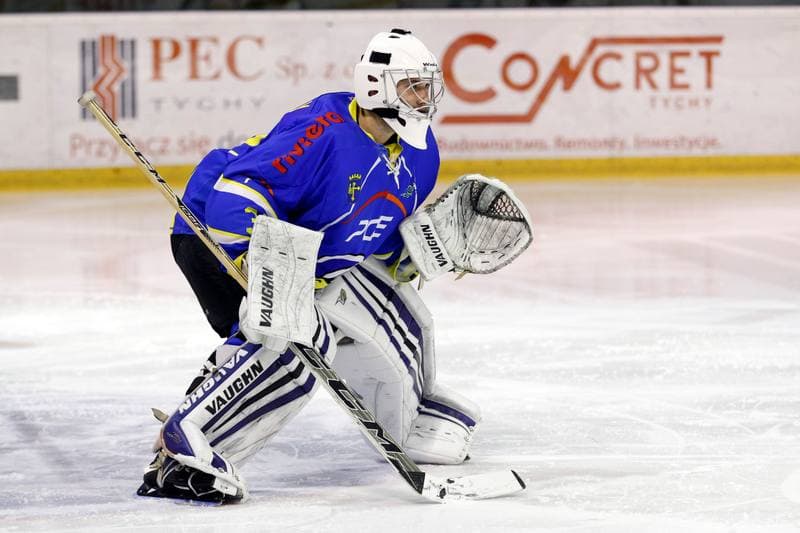 Ice Hockey. Polska Hokej Liga. GKS Tychy - Orlik Opole. 13.01.2017