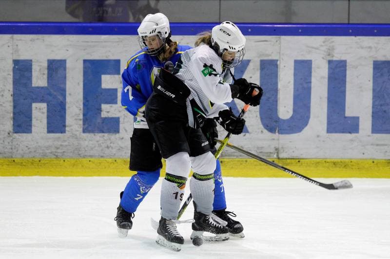 Ice Hockey. PLHK. Naprzod Janow - Unia Oswiecim. 20.01.2018
