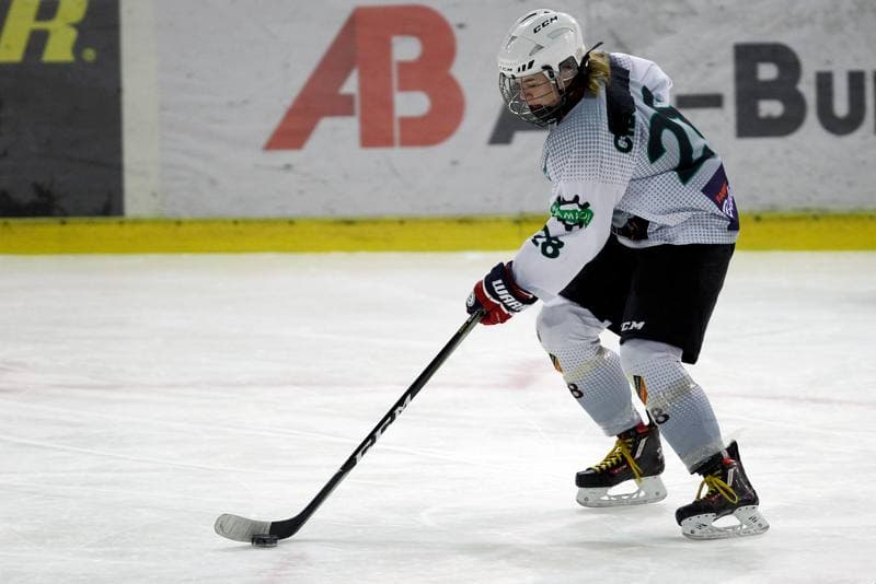 Ice Hockey. PLHK. Naprzod Janow - Unia Oswiecim. 20.01.2018