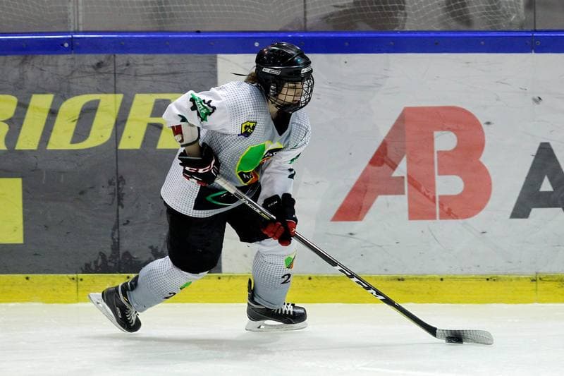 Ice Hockey. PLHK. Naprzod Janow - Unia Oswiecim. 20.01.2018
