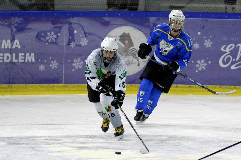 Ice Hockey. PLHK. Naprzod Janow - Unia Oswiecim. 20.01.2018