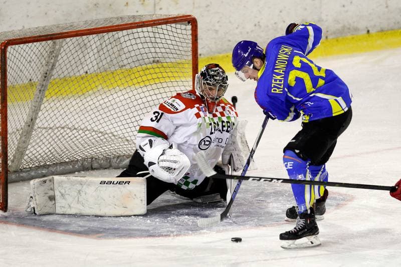 Ice Hockey. Polska Hokej Liga. Zaglebie Sosnowiec - Orlik Opole. 17.02.2019