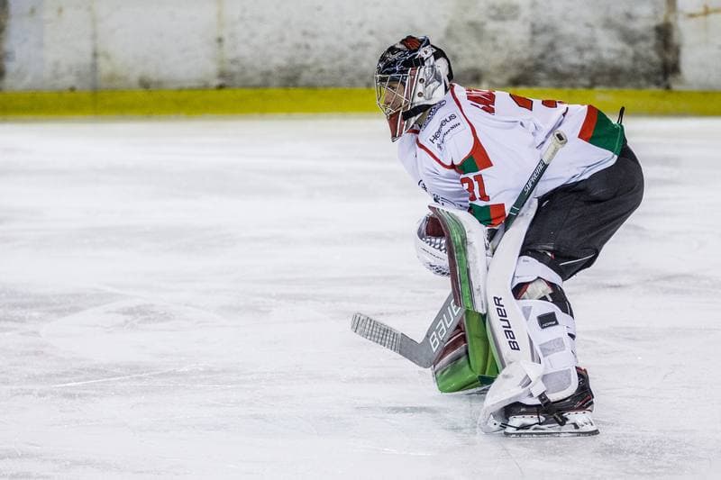 Ice Hockey. PHL. Zaglebie Sosnowiec - JKH GKS Jastrzebie. 29.11.2019