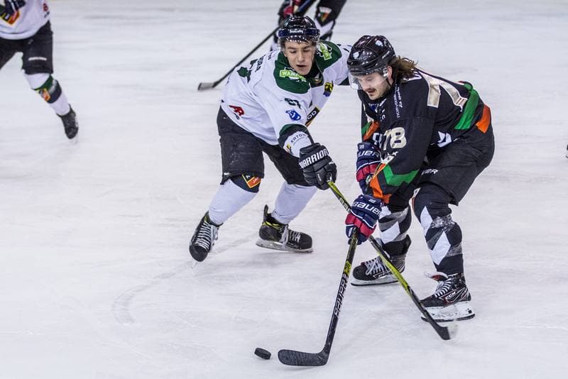 Ice Hockey. PHL. Naprzod Janow - GKS Tychy. 17.11.2019