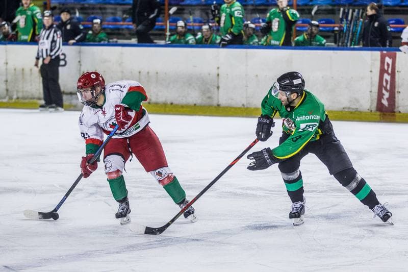 Ice Hockey. PHL. Zaglebie Sosnowiec - JKH GKS Jastrzebie. 15.01.2021