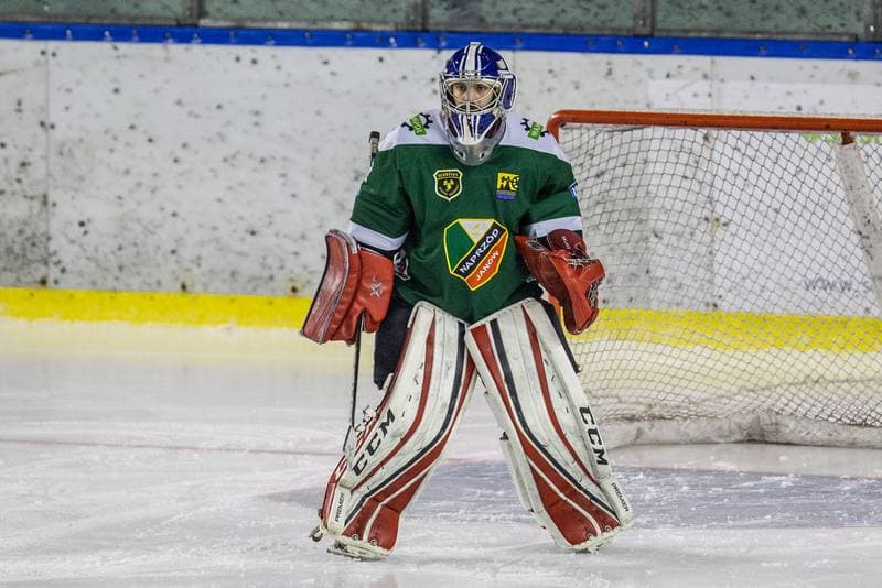 Ice Hockey. PHL. Zaglebie Sosnowiec - Naprzod Janow. 14.01.2020