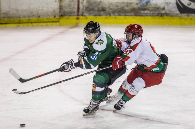Ice Hockey. PHL. Zaglebie Sosnowiec - Naprzod Janow. 14.01.2020