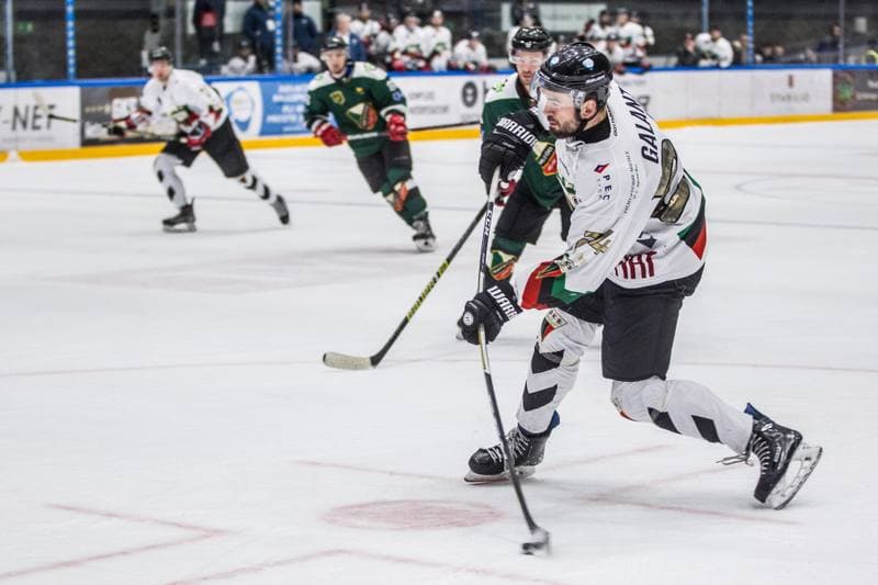 Ice Hockey. PHL. GKS Tychy - Naprzod Janow. 19.01.2020