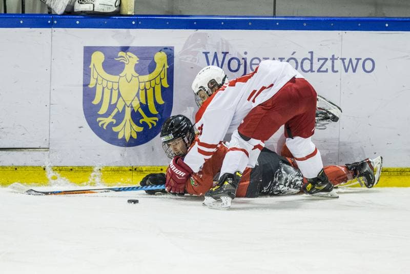Ice Hockey. EWHL. Polska - KMH Budapeszt. 20.02.2021