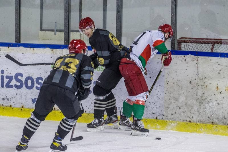 Ice Hockey. PHL. Zaglebie Sosnowiec - Comarch Cracovia. 07.12.2021