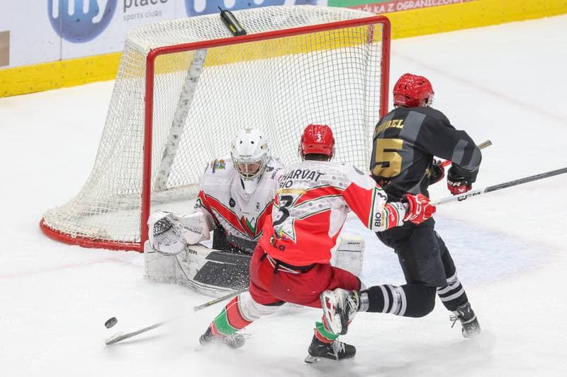 Ice Hockey. Tauron Hokej Liga. Zaglebie Sosnowiec - Comarch Cracovia. 19.11.2023