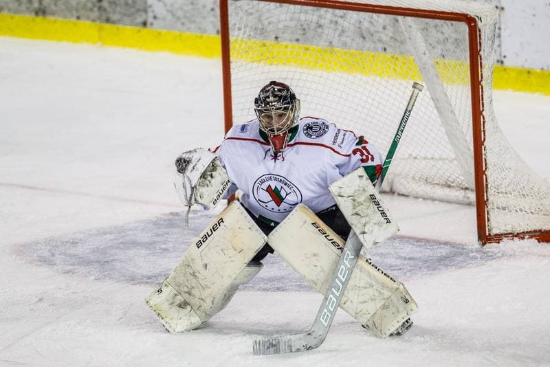 Ice Hockey. Polska Hokej Liga. Zaglebie Sosnowiec - Lotos PKH Gdansk. 22.09.2019