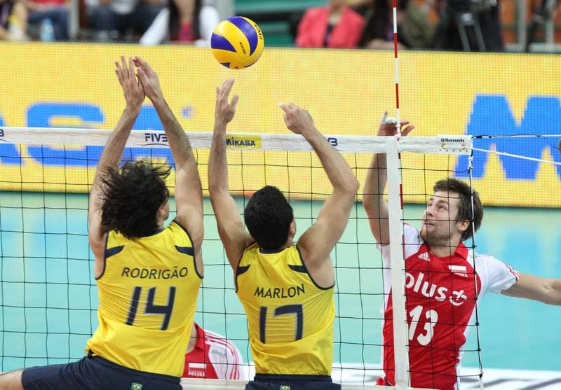 Volleyball. World League. Poland - Brazil. 29.06.2011