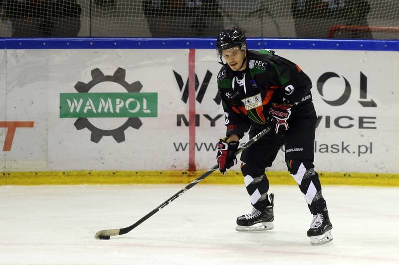 Ice Hockey. Polska Hokej Liga. Naprzod Janow - GKS Tychy. 15.10.2017