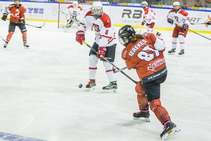 Ice Hockey. EWHL. Polska - KMH Budapeszt. 20.02.2021