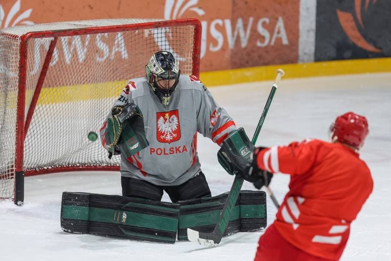 Ice Hockey. Poland national team. Training. 10.12.2023