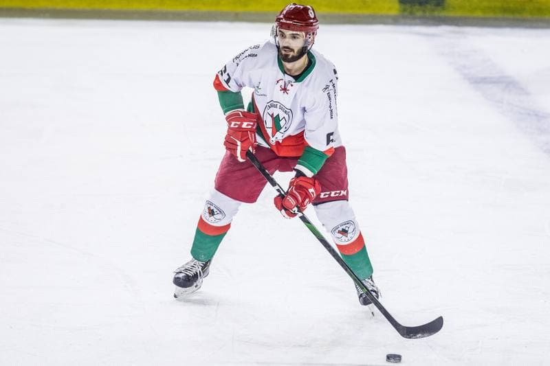 Ice Hockey. PHL. Zaglebie Sosnowiec - Tauron Podhale Nowy Targ. 22.01.2021