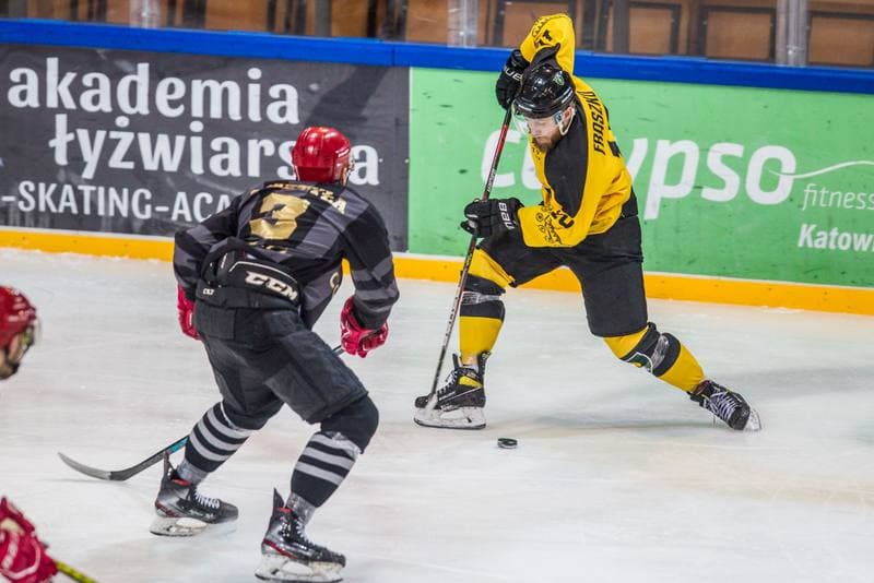 Ice Hockey. PHL. GKS Katowice - Comarch Cracovia. 19.02.2021