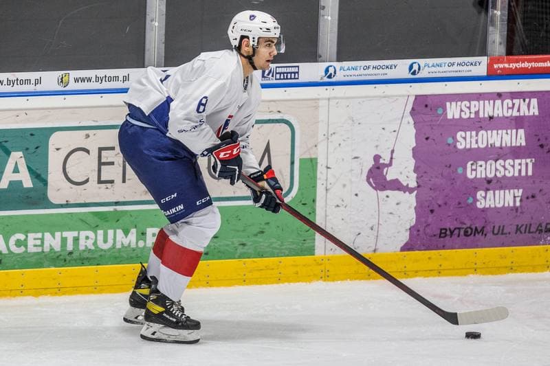 Ice Hockey. EIHC Christmas Cup. France - Ukraine. 17.12.2021