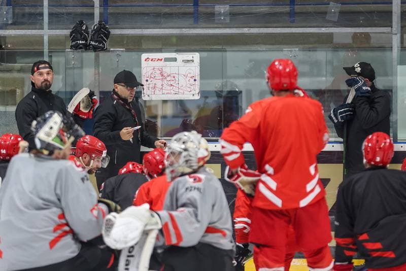 Ice Hockey. Poland national team. Training. 10.12.2023