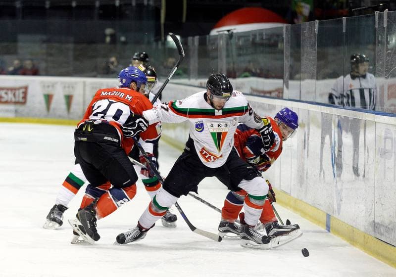 Ice Hockey. Tauron Hokej Liga. GKS Tychy - Polonia Bytom. 19.02.2016