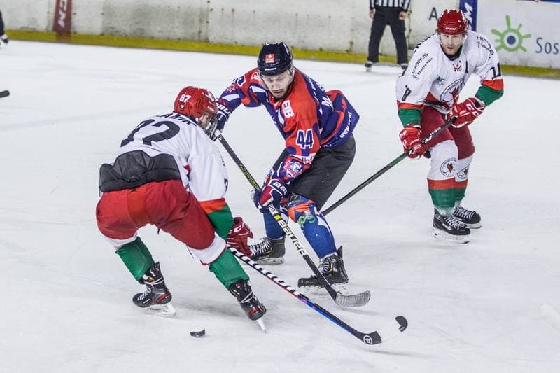 Ice Hockey. PHL. Zaglebie Sosnowiec - Energa Torun. 29.01.2021