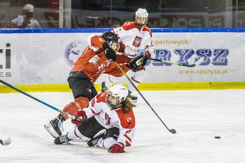 Ice Hockey. EWHL. Polska - KMH Budapeszt. 20.02.2021