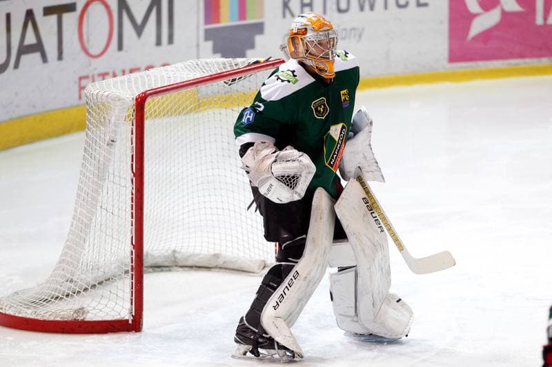 Ice Hockey. Tauron Hokej Liga. Tauron KH GKS Katowice - Anteo Naprzod Janow. 02.02.2018