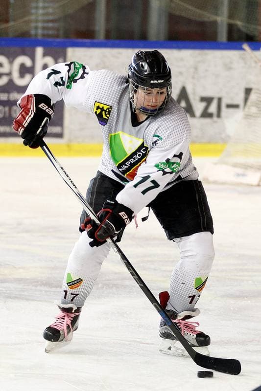 Ice Hockey. PLHK. Naprzod Janow - Kozice Poznan. 11.02.2018