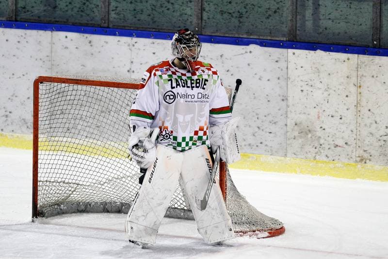 Ice Hockey. Polska Hokej Liga. Zaglebie Sosnowiec - GKS Tychy. 22.12.2018