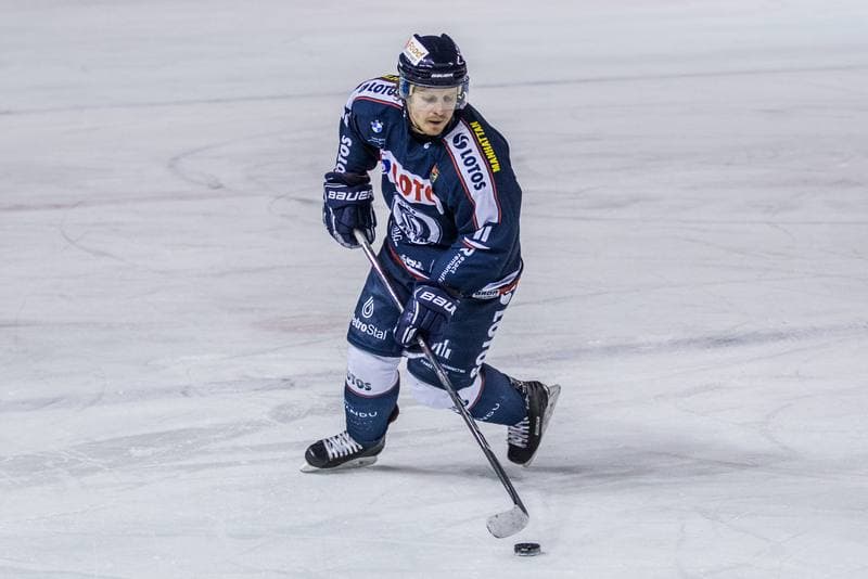 Ice Hockey. PHL. Zaglebie Sosnowiec - Lotos PKH Gdansk. 03.12.2019
