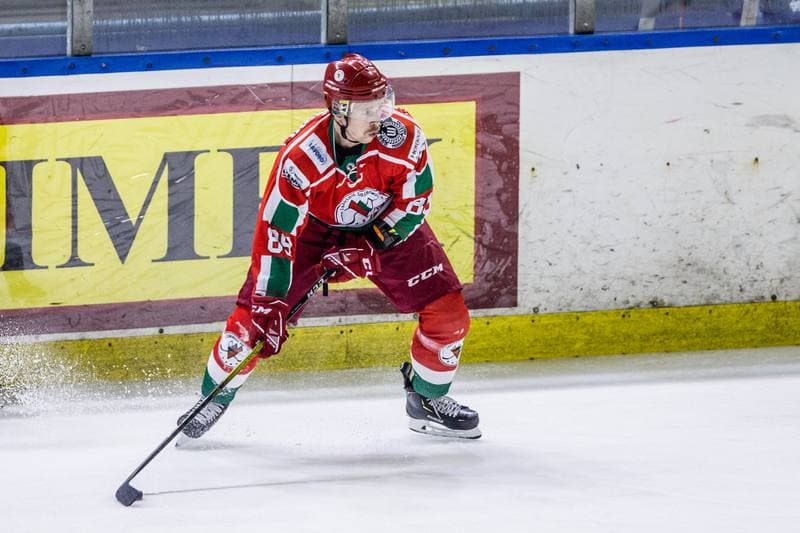 Ice Hockey. Sparing. Zaglebie Sosnowiec - Energa Torun. 27.08.2020