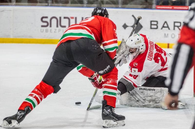 Ice Hockey. EIHC Christmas Cup. Poland - Hungary. 17.12.2021