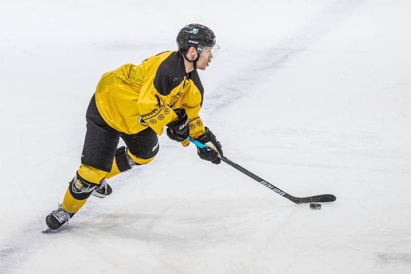 Ice Hockey. PHL. GKS Katowice - Stoczniowiec Gdansk. 29.11.2020