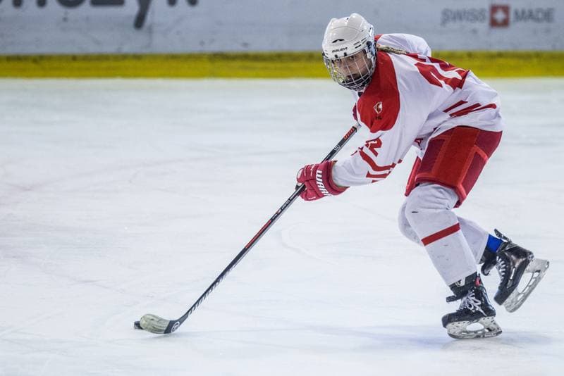 Ice Hockey. EWHL. Polska - KMH Budapeszt. 21.02.2021
