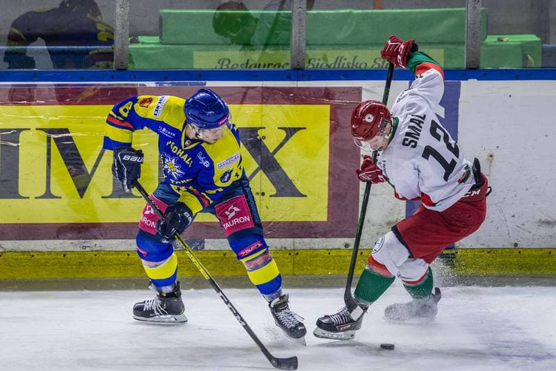 Ice Hockey. PHL. Zaglebie Sosnowiec - Tauron Podhale Nowy Targ. 22.01.2021
