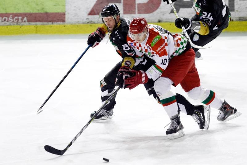 Ice Hockey. Polska Hokej Liga. Zaglebie Sosnowiec - GKS Tychy. 22.12.2018