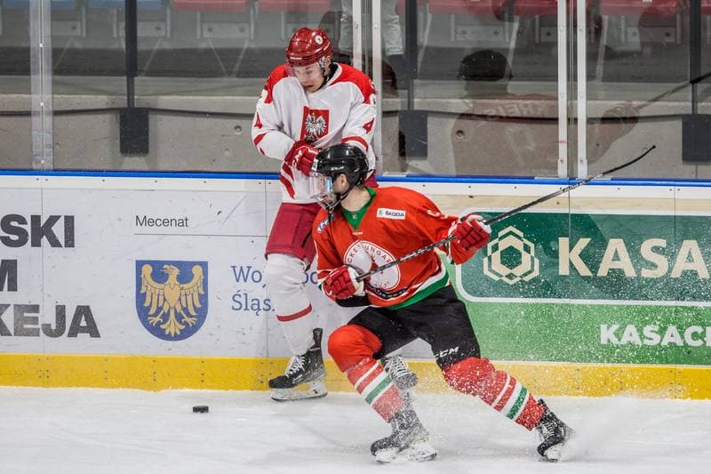 Ice Hockey. EIHC Christmas Cup. Poland - Hungary. 17.12.2021