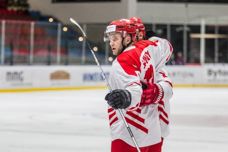 Ice Hockey. EIHC Christmas Cup. Poland - France. 16.12.2021