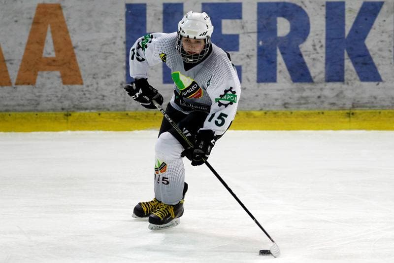 Ice Hockey. PLHK. Naprzod Janow - Unia Oswiecim. 20.01.2018