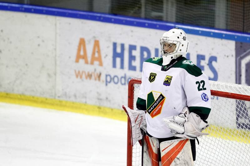 Ice Hockey. Polska Hokej Liga. Naprzod Janow - Orlik Opole. 01.03.2019