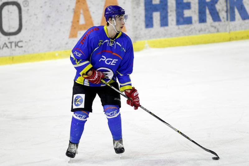 Ice Hockey. Polska Hokej Liga. Naprzod Janow - Orlik Opole. 01.03.2019