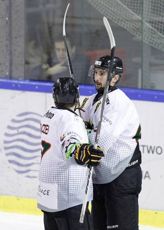 Ice Hockey. Polska Hokej Liga. Naprzod Janow - Polonia Bytom. 02.11.2014